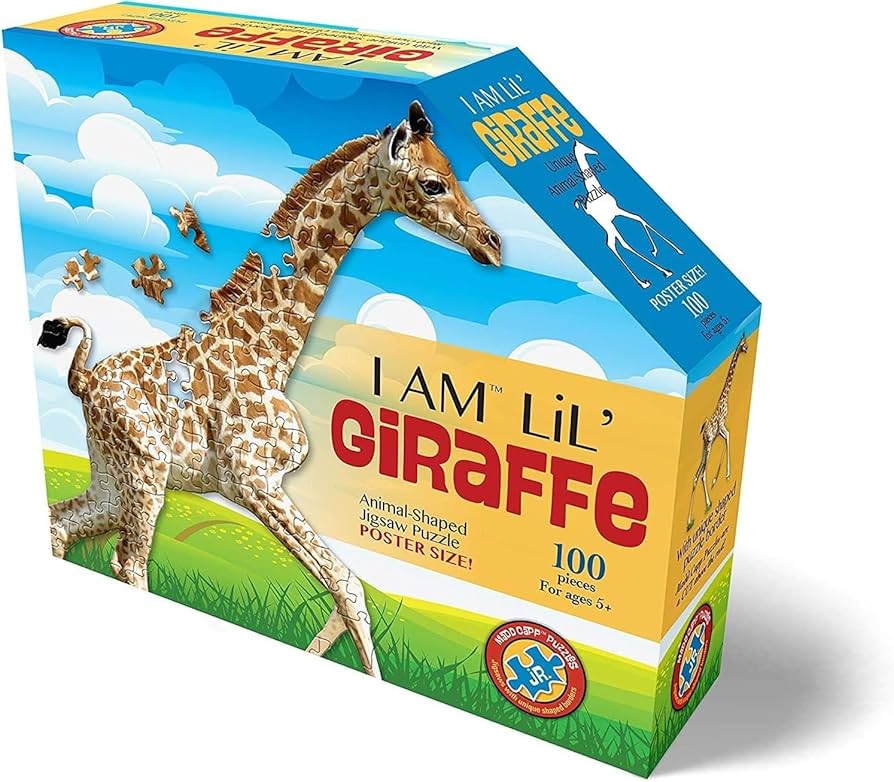 m(ᵔᴥᵔ)m☆ Amazon.com: ZazzyKid Kids Magnetic Pattern Blocks Set: 216